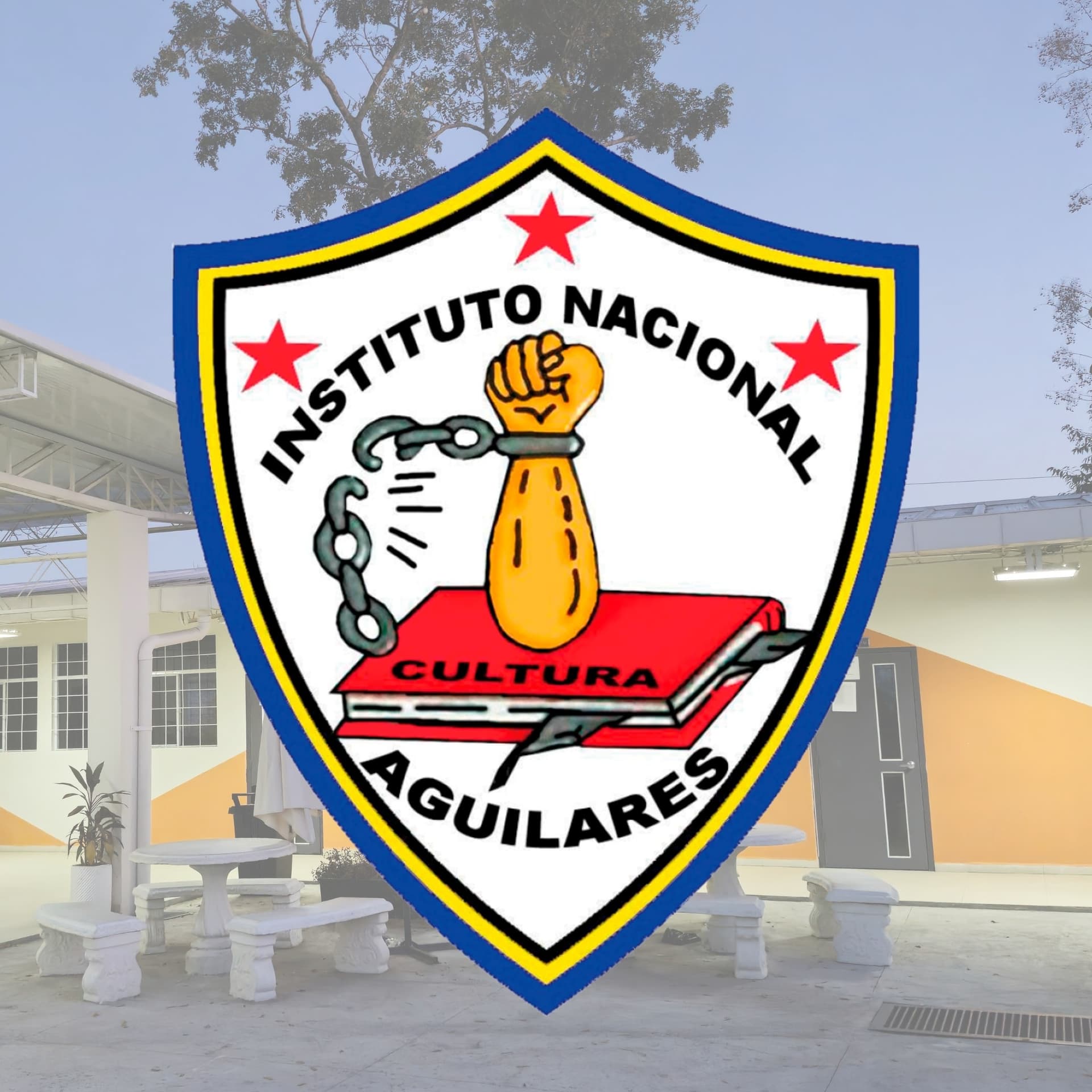 Representative image of Instituto Nacional de Aguilares